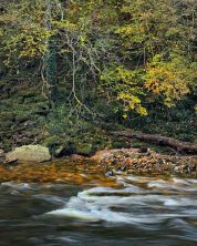 hints of autumn and the river wharfe.jpg